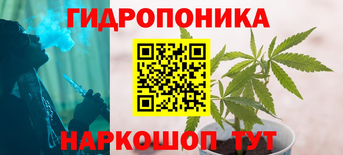 Конопля тримм  Каннабис OG Kush  Лобня  Бошки марихуана план  Марихуана семена  Вход с VPN 